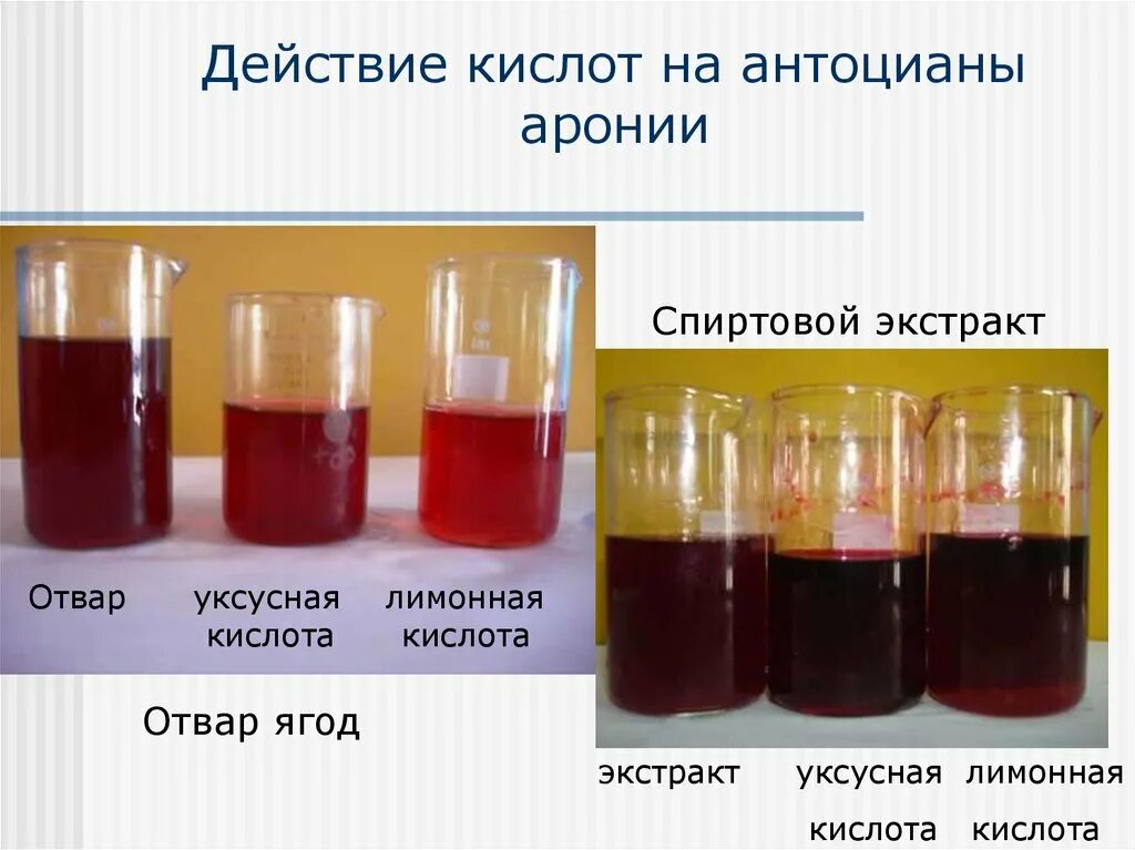 Реакция среды в водном растворе уксусной кислоты. Уксусная кислота цвет раствора. Антоцианы с кислотой. Антоцианы формула. Спиртово уксусная кислота.