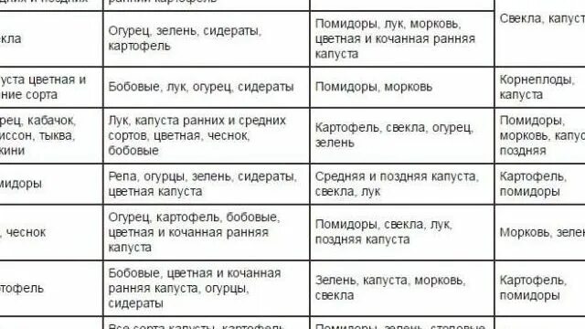 После чего сажать огурцы на следующий. Что посадить после помидор. Что можно садить после помидор на следующий год. После чего сажать огурцы на следующий год в открытом. Что сажать после томатов на следующий год.