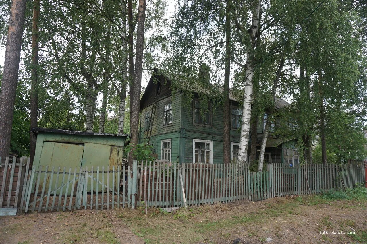Ольгино фото поселка