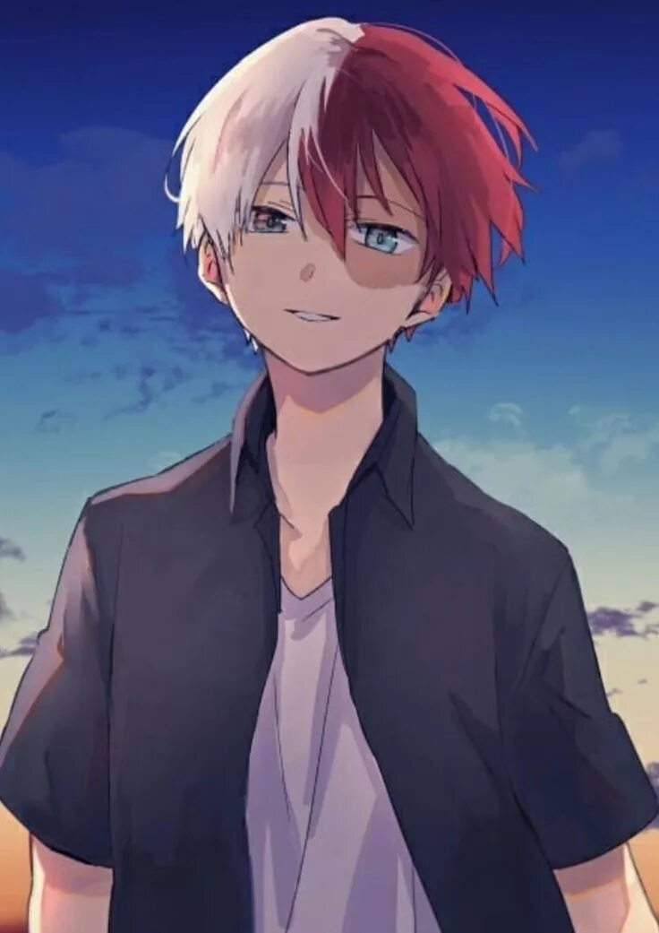 Todoroki reader. Todoroki reader
