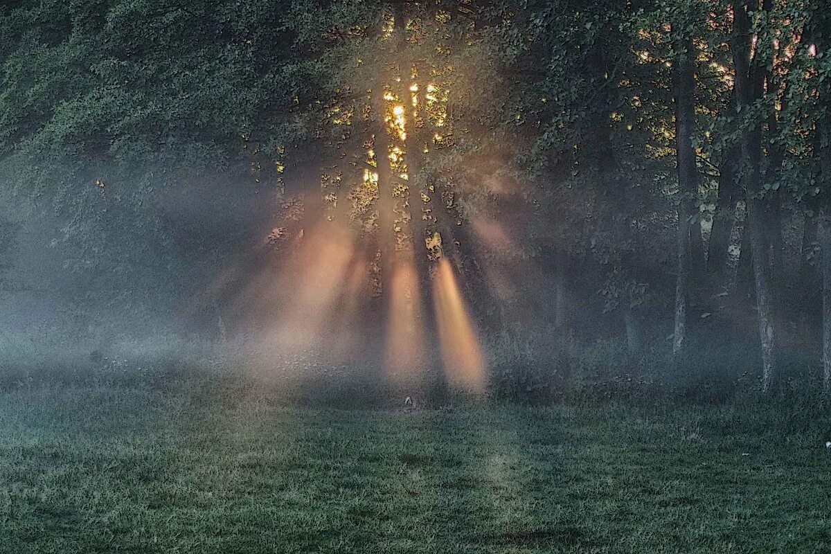 Счастливые дети на природе. Первый луч солнца разбудил девочку. Первый луч солнца разбудил девочку. Фон природа для детей. Сказочное солнце утро.