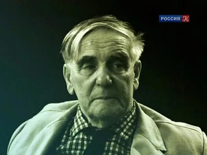 Капица физик