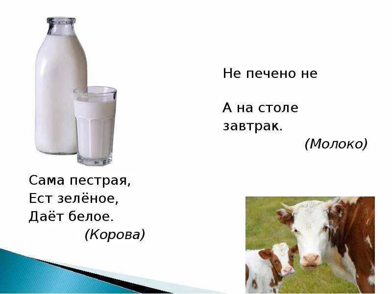 Не печено не варено. Почему молоко белое. Коровье молоко белого цвета. Почему коровье молоко белое. Почему корова дает белое молоко.