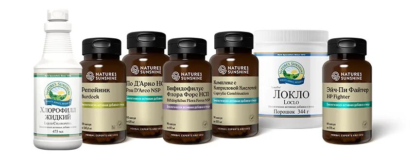 Программа реабилитации жкт от нсп. Реабилитация жкт нсп схема. Nsp схема реабилитации жкт. Nsp схема реабилитации жкт. Программа реабилитации жкт от нсп.