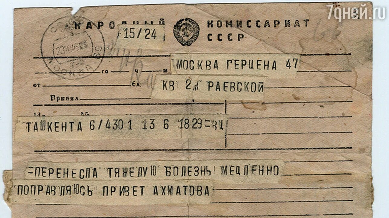 Девушка телеграмма на час