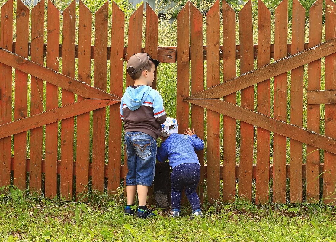 любопытство интересная картинка. любознательность это определение. фразы про любопытство. любопытные детки. любопытство картинки.