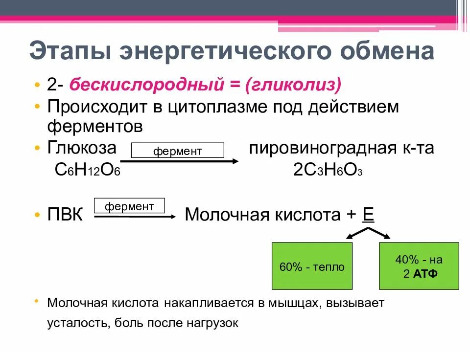 Диссимиляция сколько атф. Этапы энергетического обмена гликолиз подготовительный. Второй этап обмена энергетического обмена. Бескислородный этап энергетического обмена формула. Бескислородный этап энергетического обмена схема.