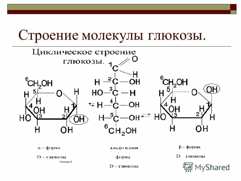 Формулой глюкозы является. Альфа Глюкоза линейная формула. Структурная форма Глюкозы. D-Глюкоза строение. Строение Альфа Глюкозы.