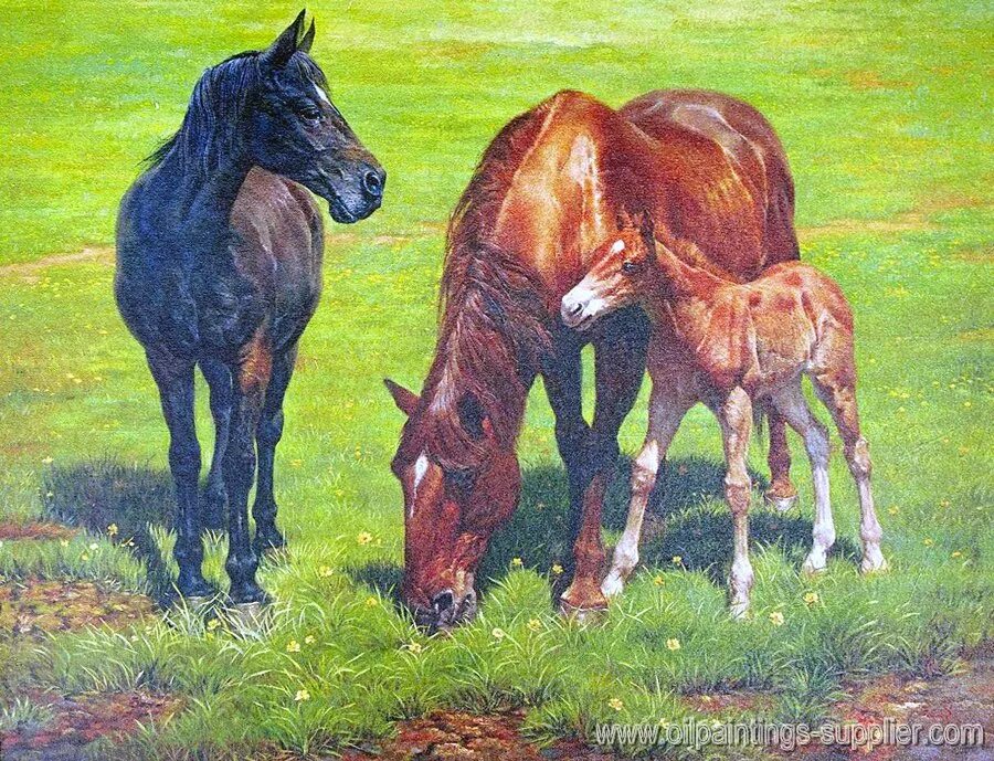 Horse family. Лошадь с жеребенком. Кони дети жеребята. Картина лошади. Пара лошадей.