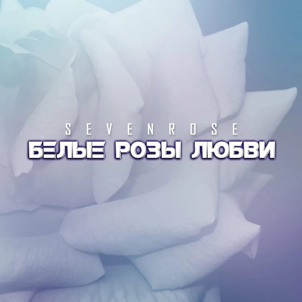 Песня розовое любимая. Sevenrose белые розы любви. Белые розы песня.