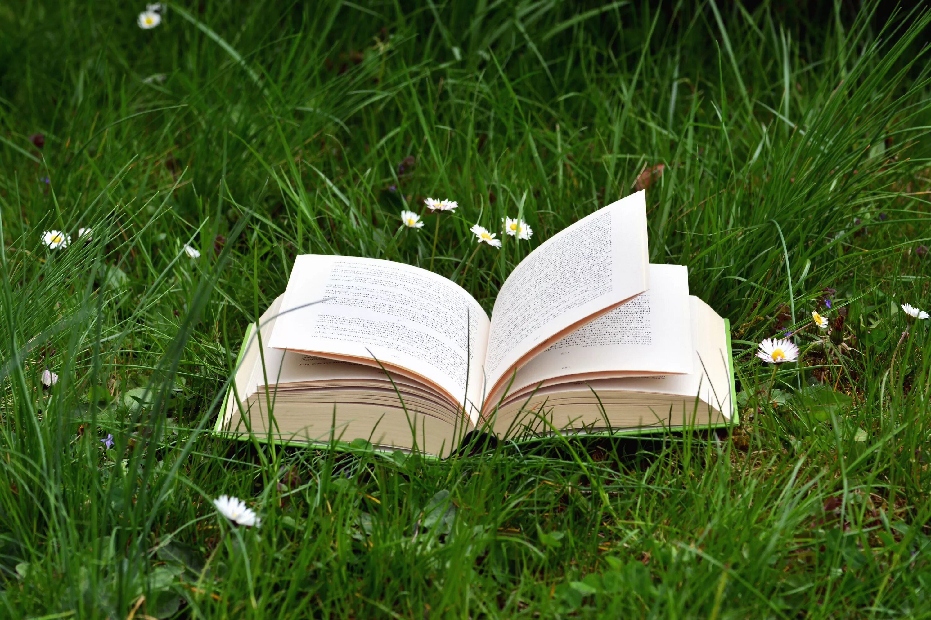 Картинка книги. Раскрытая книга. Книга на траве. Лето с книгой. Книга природа.