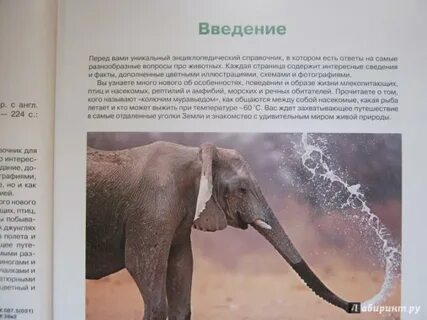 Аннотация животных