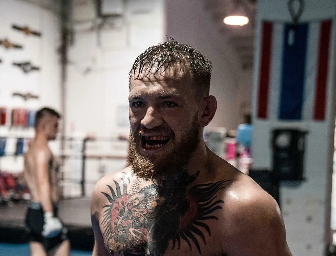 Конор МАКГРЕГОР. МАКГРЕГОР Инстаграм. THENOTORIOUSMMA. Обои с бойцами UFC МАКГРЕГОР.