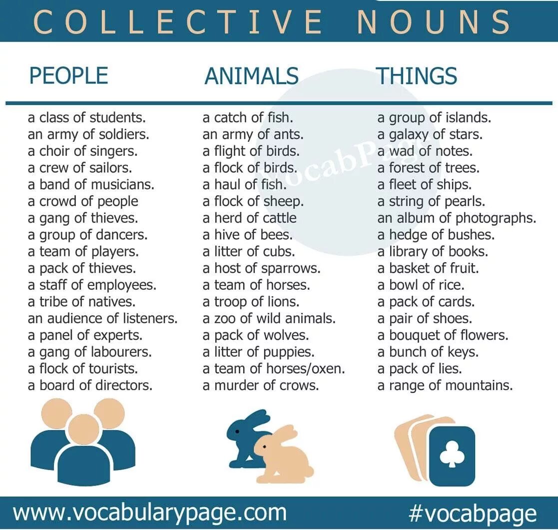 Collective Nouns в английском языке. Group Nouns в английском языке. Common Collective Nouns. Common Nouns в английском языке.