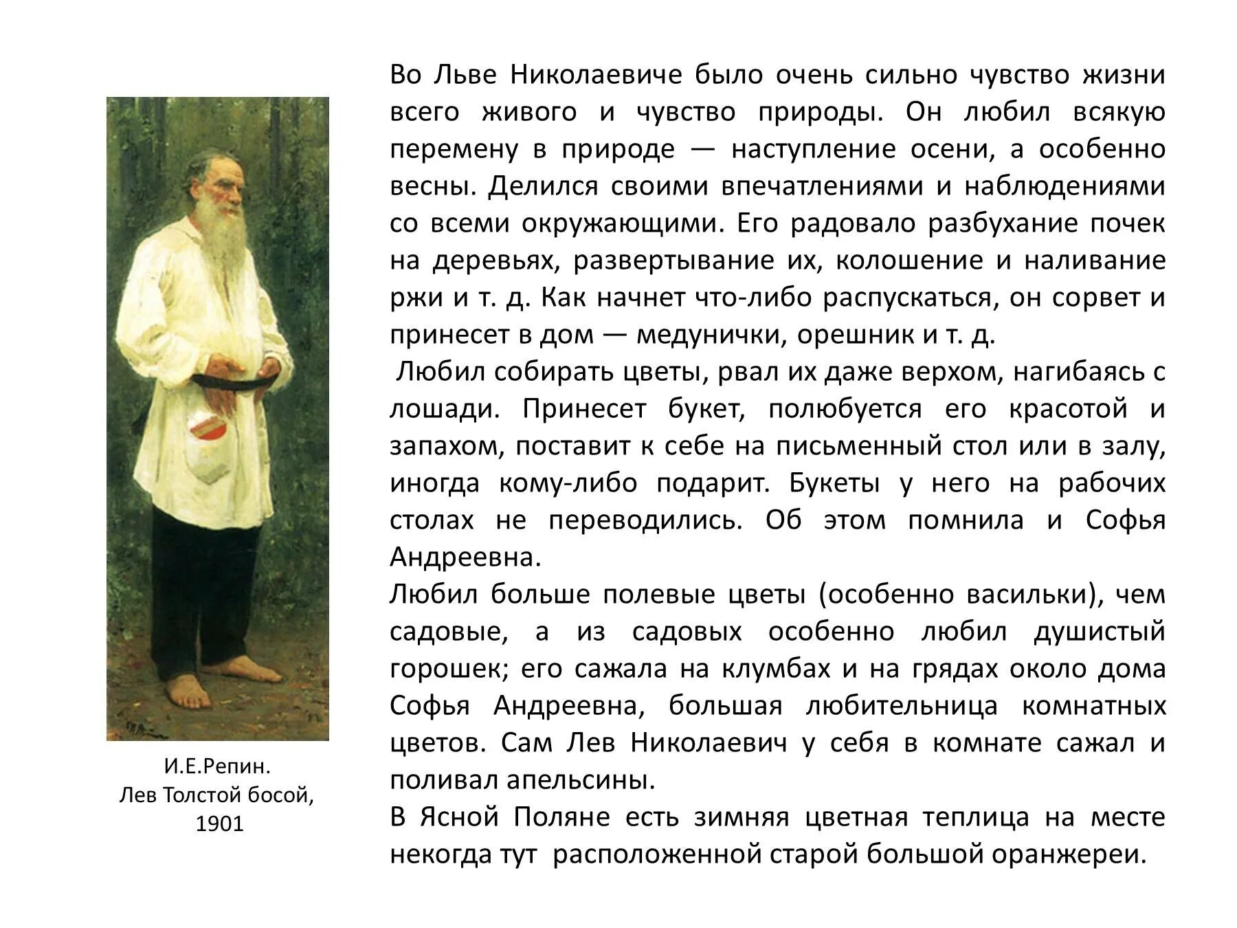 3 предложения о толстом. Биография Льва Николаевича Толстого для 3 класса. Биография Лев Николаевич толстой 3. Биография л н Толстого 3 класс. Лев Николаевич толстой биография 3 класс.