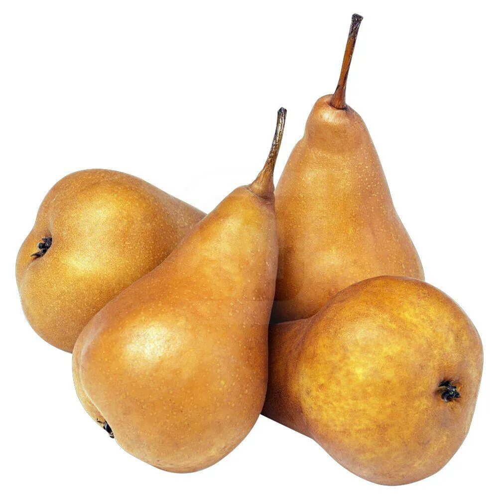 Груша бере боск. Бере боск (сорт груш). Груша боск. Груша боск. Груша бере клержо.