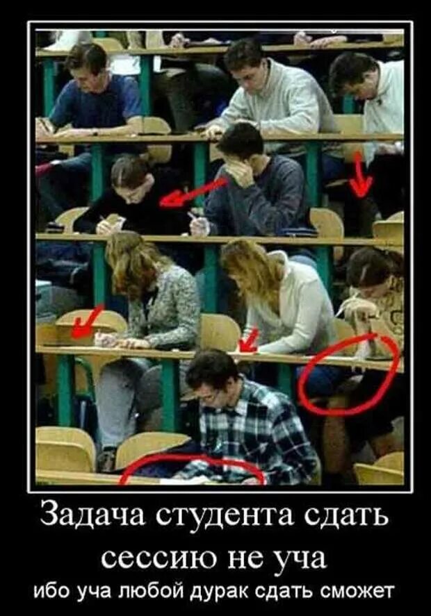 Смешные студенческие. Приколы про студентов. демотиваторы смешные про студентов. студенческие картинки прикольные. смешной студент.