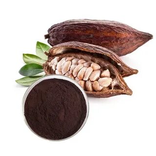 Экстракт какао