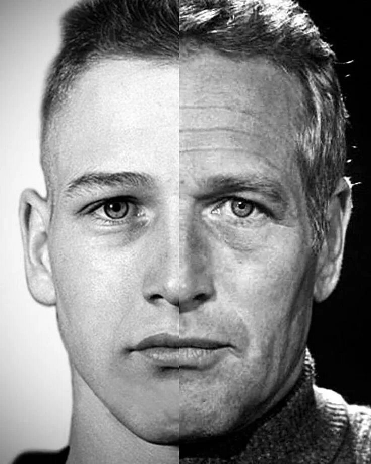 Hollywood-Legende Paul Newman ist tot - Panorama - Badische Zeitung