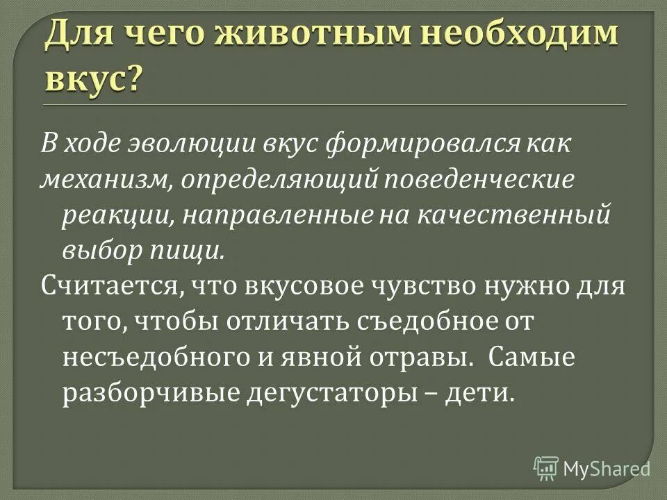 Историческое развитие языков. Типы исторических языковых контактов. Процесс формирования речи. Развитие языка языкознание. Закономерность исторического развития науки.