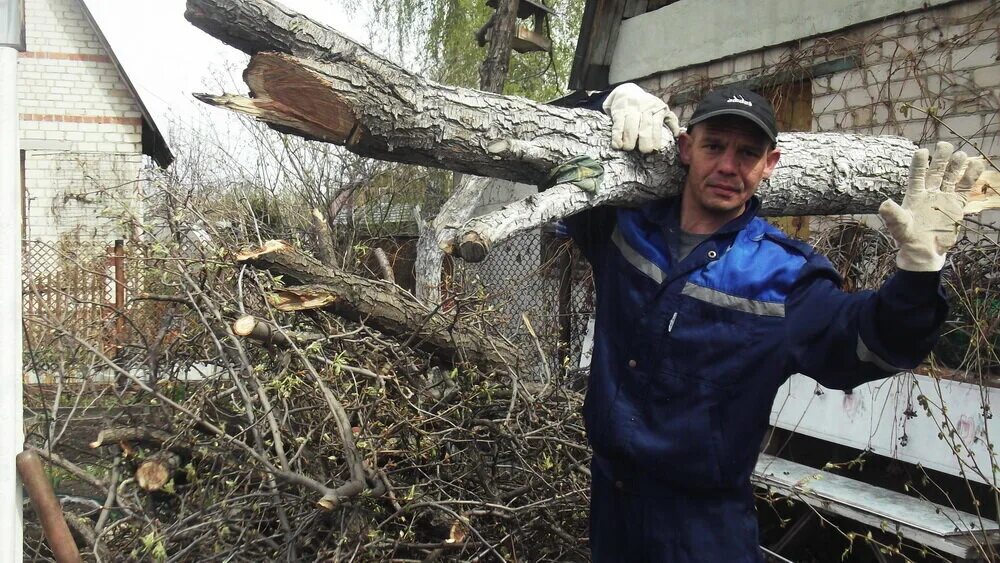 Вывоз листьев. Уборка спиленных деревьев. уборка веток деревьев. вывоз спиленных деревьев. погрузка спиленных деревьев.