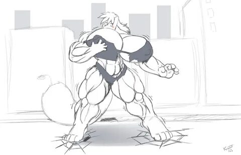 Fury muscle 18