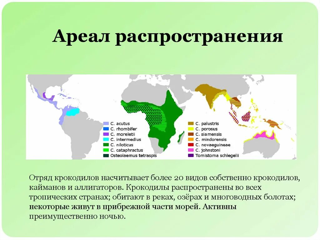 Широко распространенная на территории россии. Ареал распространения. Ареал растение. Ареалы это в географии.