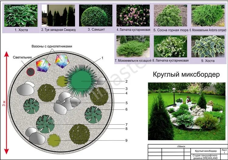 Миксбордер из хвойных и многолетников схемы и названия. Миксбордер из хвойных и многолетников схемы. Схема цветника миксбордера. Схема посадки миксбордера круглый. Местоположения растений