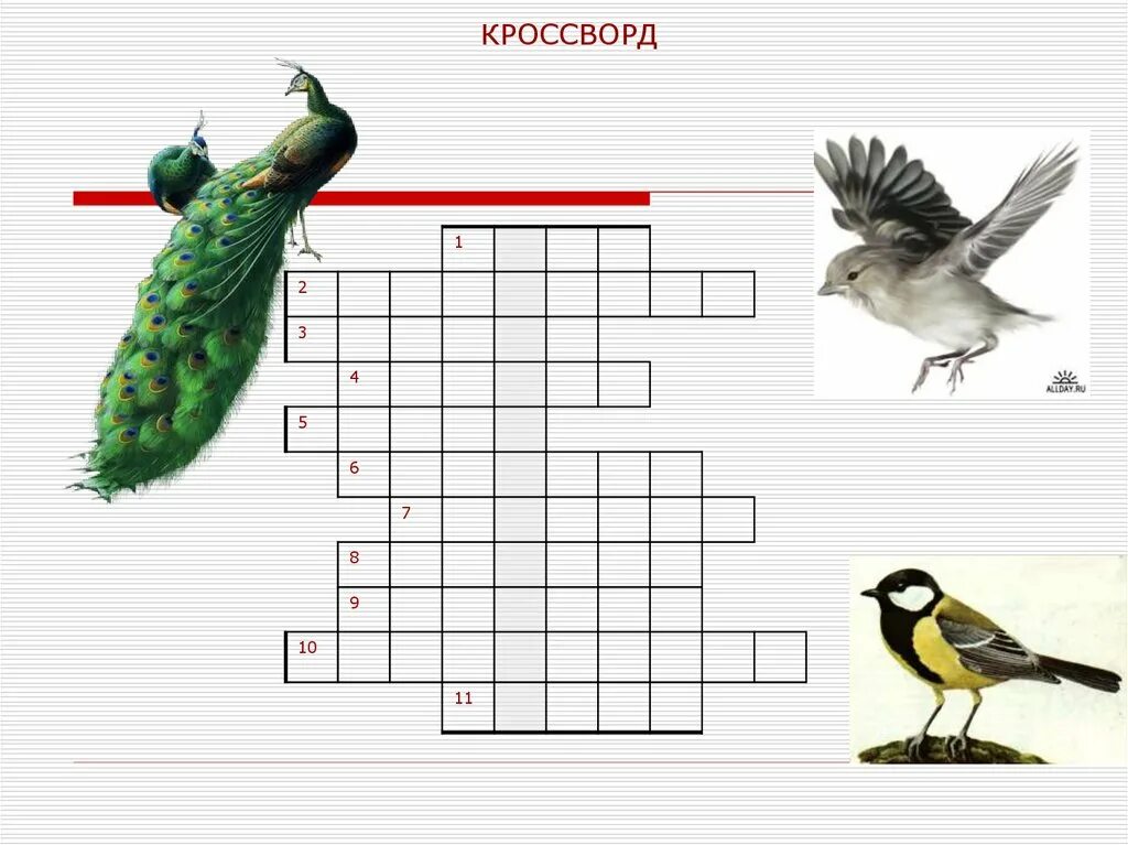 Японский кроссворд пернатый хищник. Японские кроссворды птичка. Пташка сканворд. Кроссворд птицы для дошкольников. Пташка сканворд.