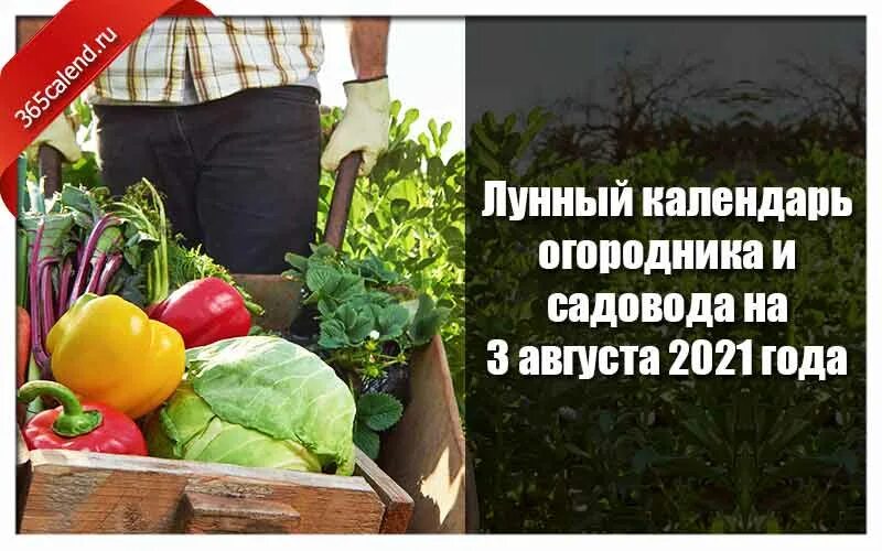 Садовод 2025 год. День огородника. поздравление с днем дачника и огородника. поздравление с днем садовода. поздравления с днём садовода и огородника.