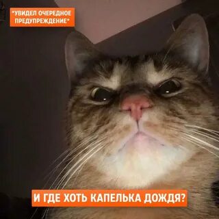Он затевает что то плохое 13