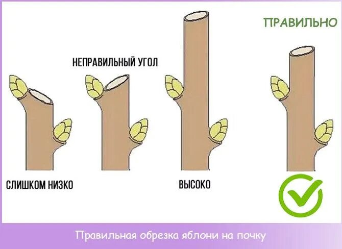 Формирование среза