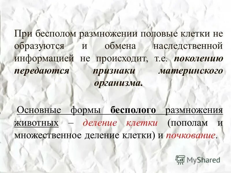 Половое размножение. Половое размножение значение. Докажите что размножение одно из важнейших свойств. Что случилось бы на земле если организмы перестали бы размножаться 3. Размножение определение.