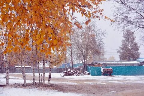 Погода юбилейный амурская область зейский