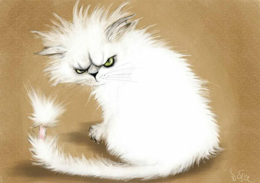 Есть и нежные пушистые. Белый и пушистый. Пушистая кошка. Пушистый котик. Белая пушистая кошка.