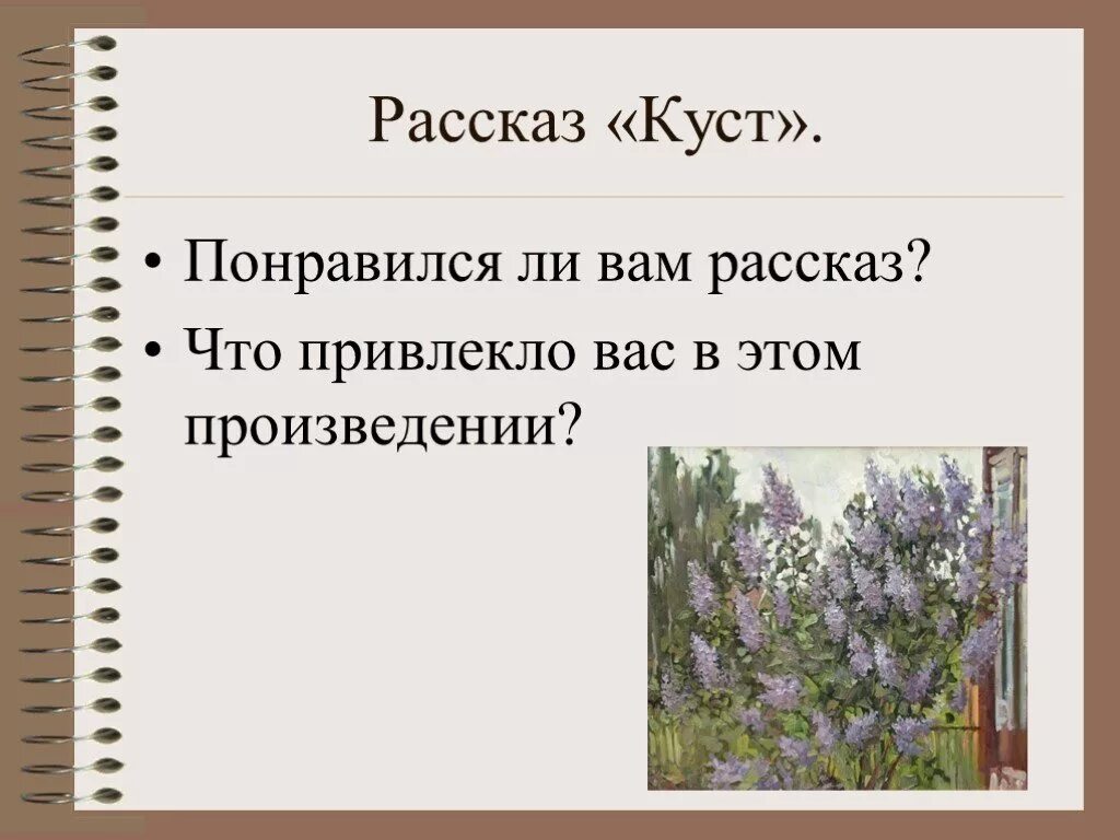 Написать отзыв на рассказ куст сирени. Куст сирени произведение. Куст сирени Куприн. Куст сирени презентация.