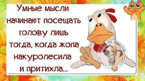 Смешные мысли картинки
