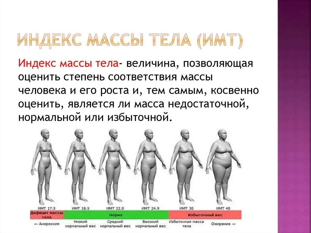 Индекс массы тела для женщин после 50