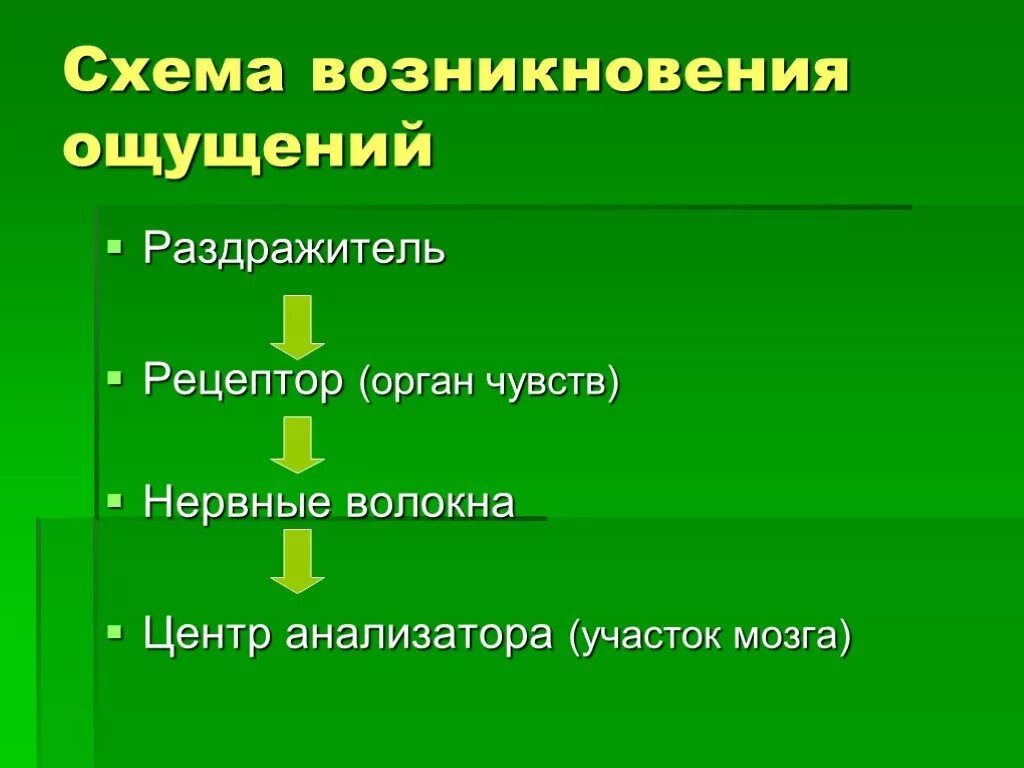 Назовите органы чувств почему павлов рецепторы органов. Закономерности ощущений схема. Возникновение ощущений схема. Схема возникновения ощущений в психологии. Механизм возникновения ощущений.