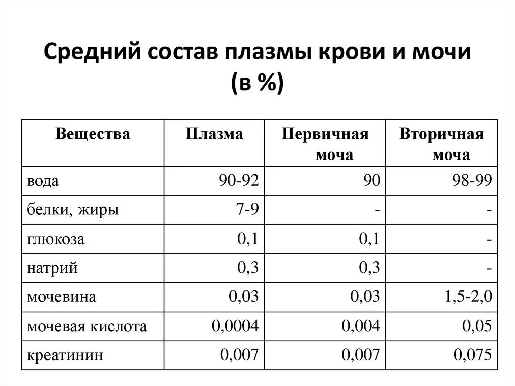 Состав первичной и конечной мочи. Состав первичной мочи человека. Состав плазмы крови первичной и вторичной мочи. Вода плазма крови первичная и вторичная моча.