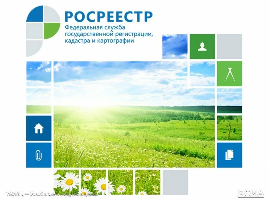 Росреестр логотип. Деятельность Росреестра. Росреестр картинки. Иллюстрации Росреестр. Сайт пензенского росреестра