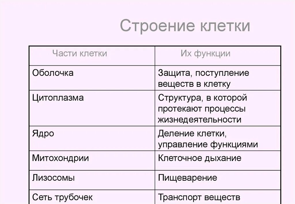 1 общие функции клеток: найдено 90 изображений