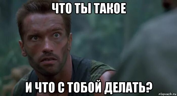 Что ты такое. Что ты такое. Обувь для запутывания следов. Оы. Что ты такое.