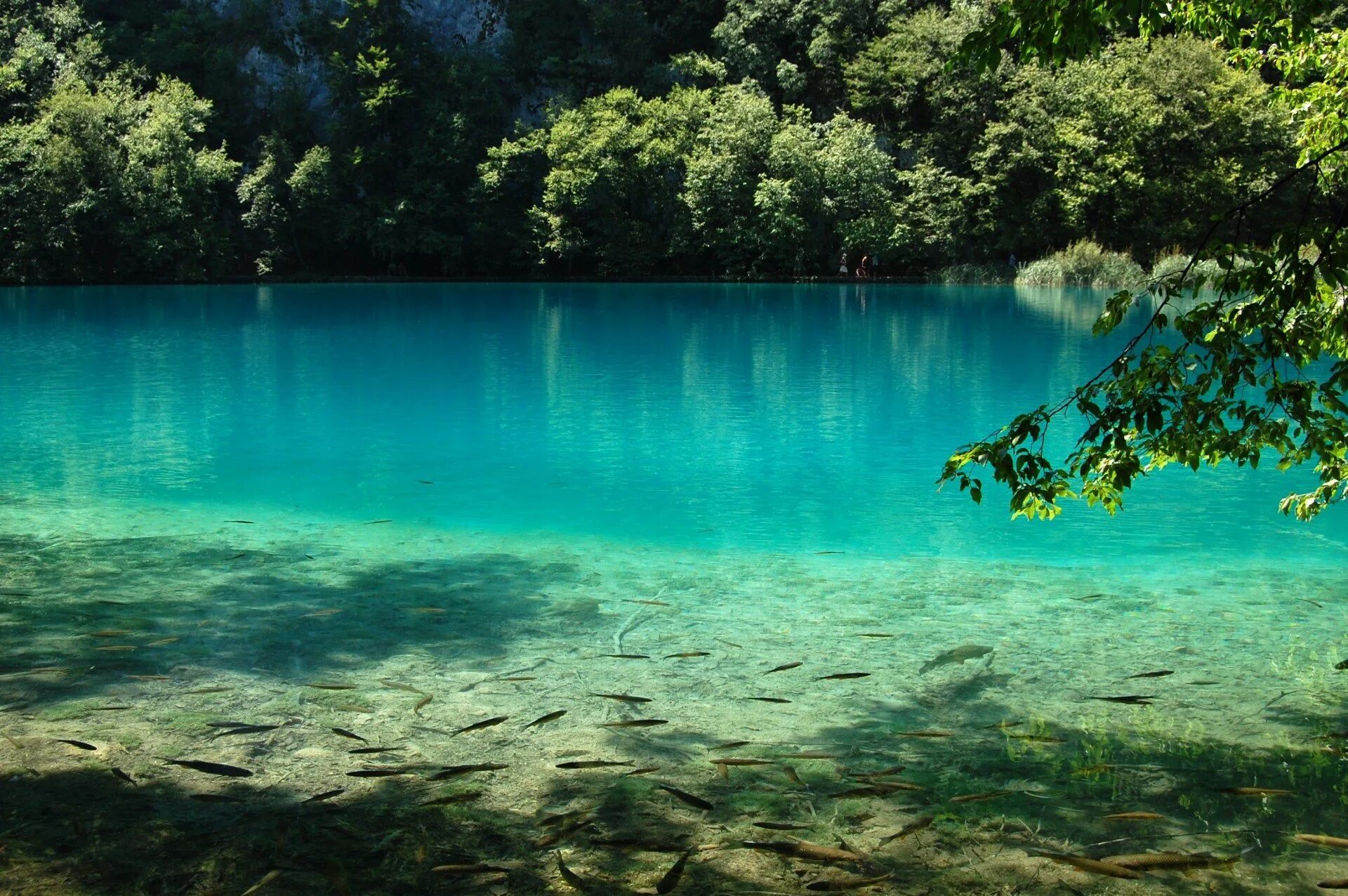 Голубое озеро Абхазия. Блу-Лейк (озеро, Квинсленд). Голубое озеро Анапа. Озеро голубая Лагуна Анапа.