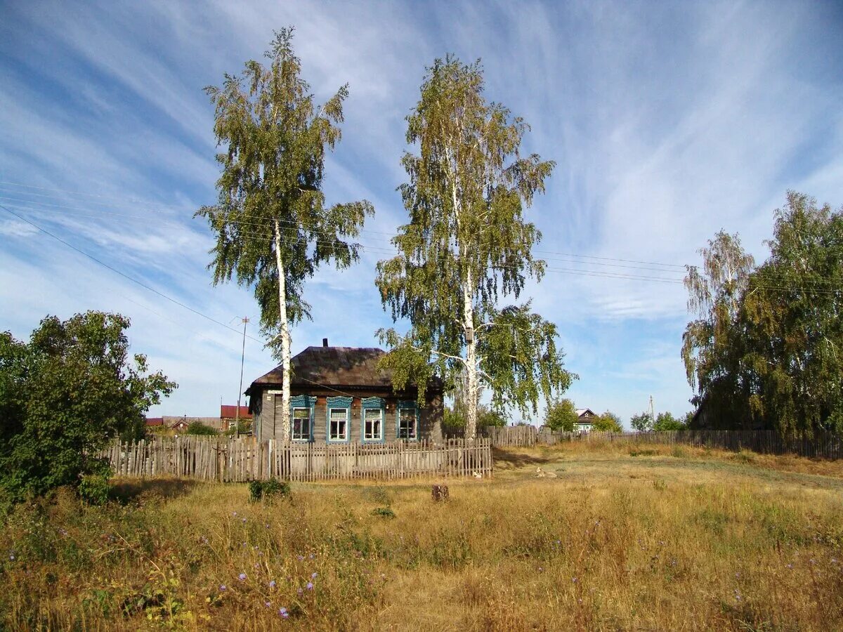 Дом под березами. Деревня. деревня березы. домик в деревне. домик на окраине деревни.