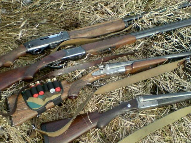 Ружье волгоград. Тоз-66 штучное. тоз 54 штучное. тоз 66 глазами владельца. гладкоствольное ружье «тоз-66».