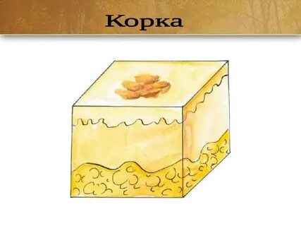 Струпья на коже кроссворд