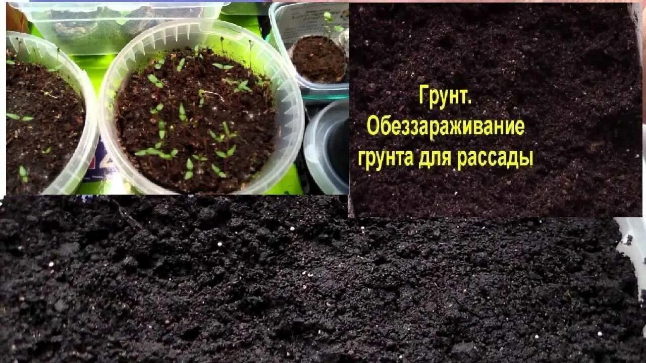 Как правильно прокалить землю