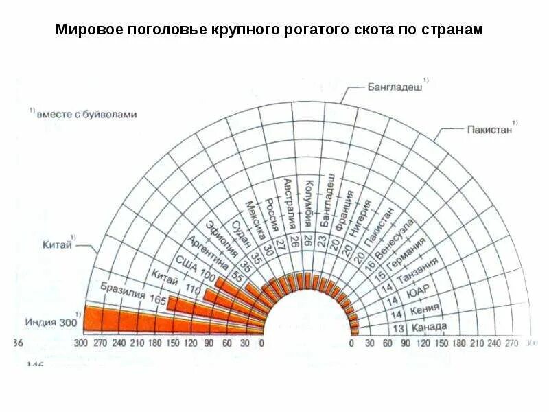 Страны по поголовью крупного. Поголовье КРС В мире по странам. Крупнейшее поголовье крупного рогатого скота в мире. Карта поголовья крупного рогатого скота.