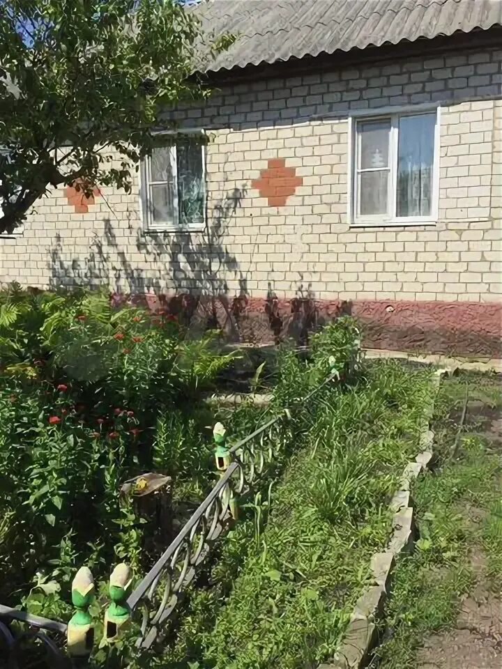 Дубиновка фото. Кшенский ул интернациональная. Авито курская область п кшенский недвижимость. Авито недвижимость курская кшенский. Крестище курская область.